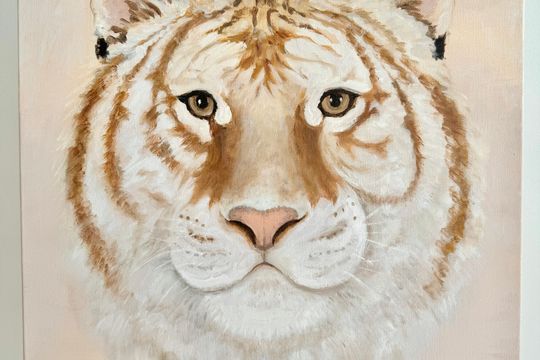 Tiger's confidence - Featured image