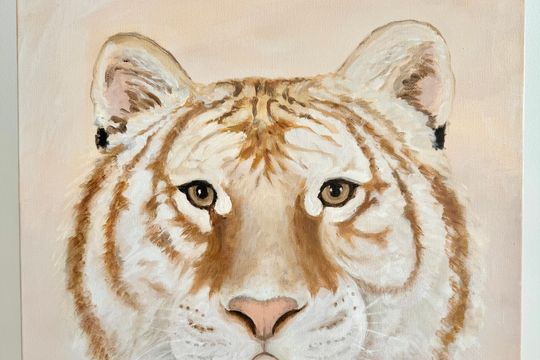 Tiger's confidence - Featured image