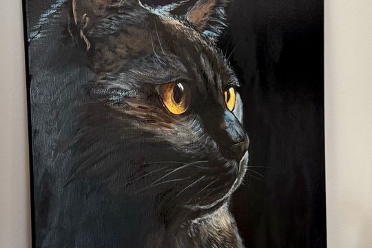 Black cat - Featured image