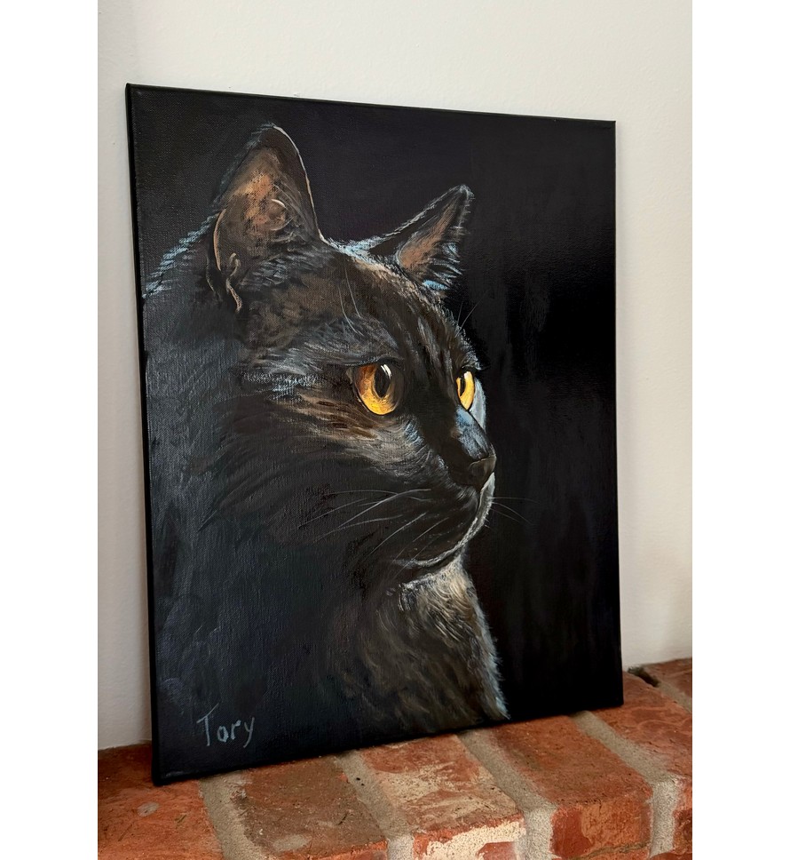 Black cat