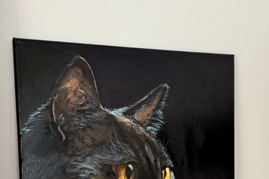 Black cat - Featured image